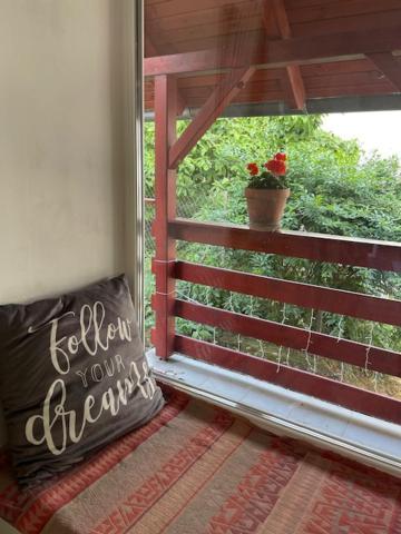 Apartment Boni *