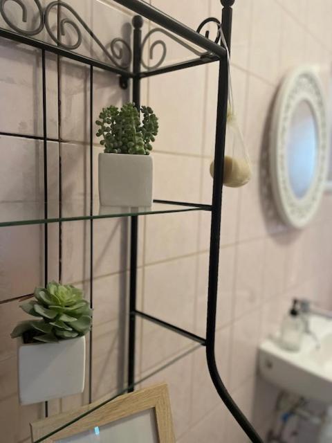 Apartment Boni